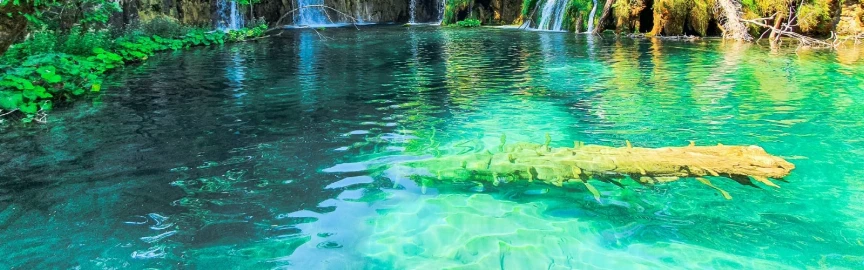 7 Incredible Forests in Europe You Can Reach by Train