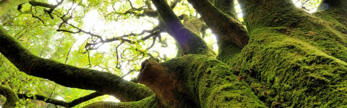 The Best Witchy Places in Europe