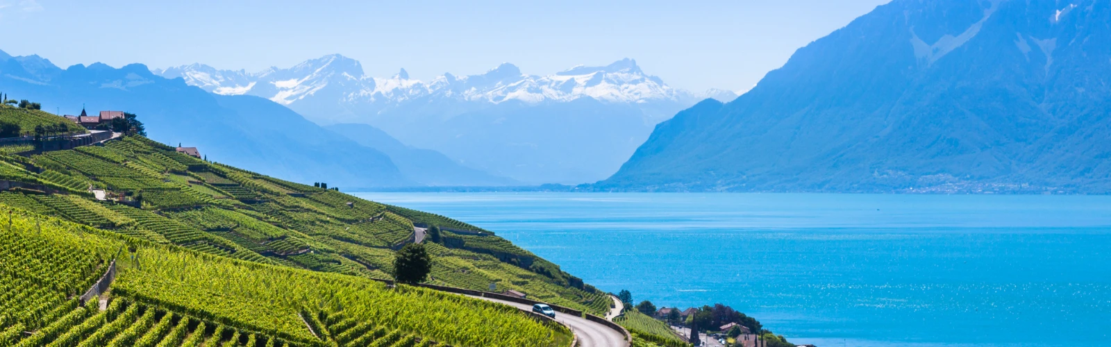Wine Regions of Europe You’ve Never Heard Of (But Should Taste)