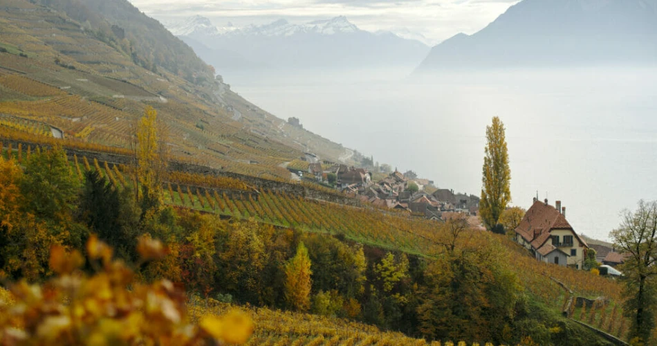 Wine Regions of Europe You’ve Never Heard Of (But Should Taste)