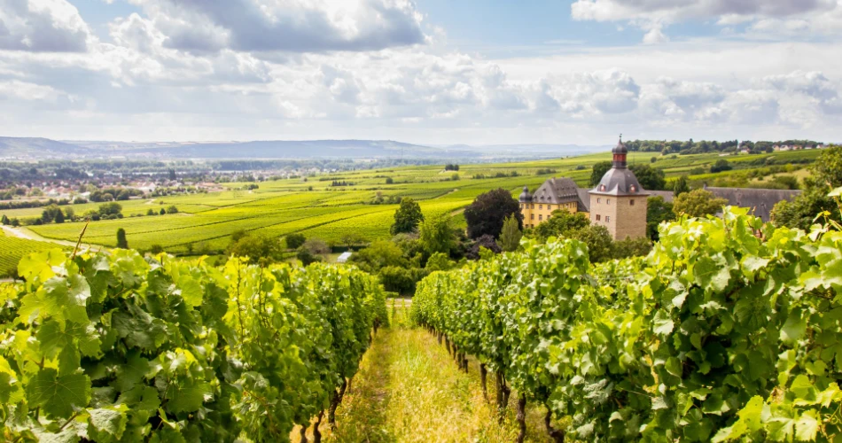 Wine Regions of Europe You’ve Never Heard Of (But Should Taste)