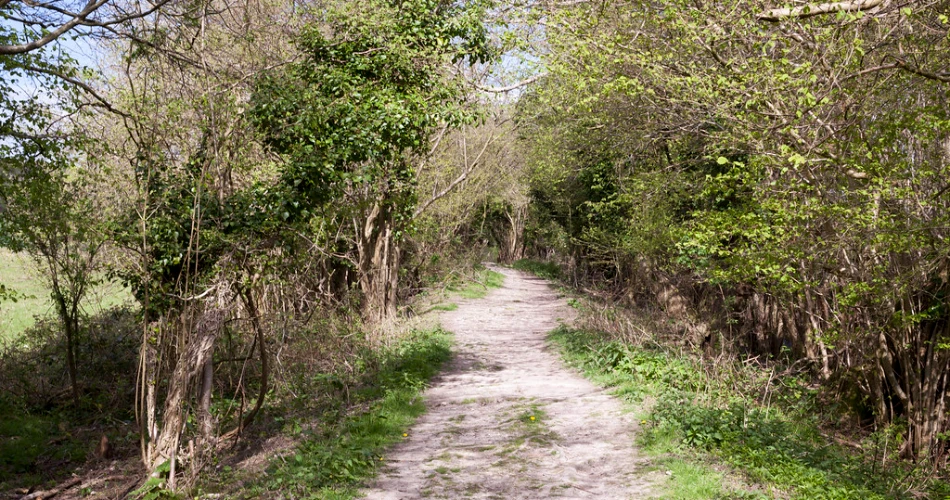 9 Ancient Roman Roads That Still Exist Today in Europe