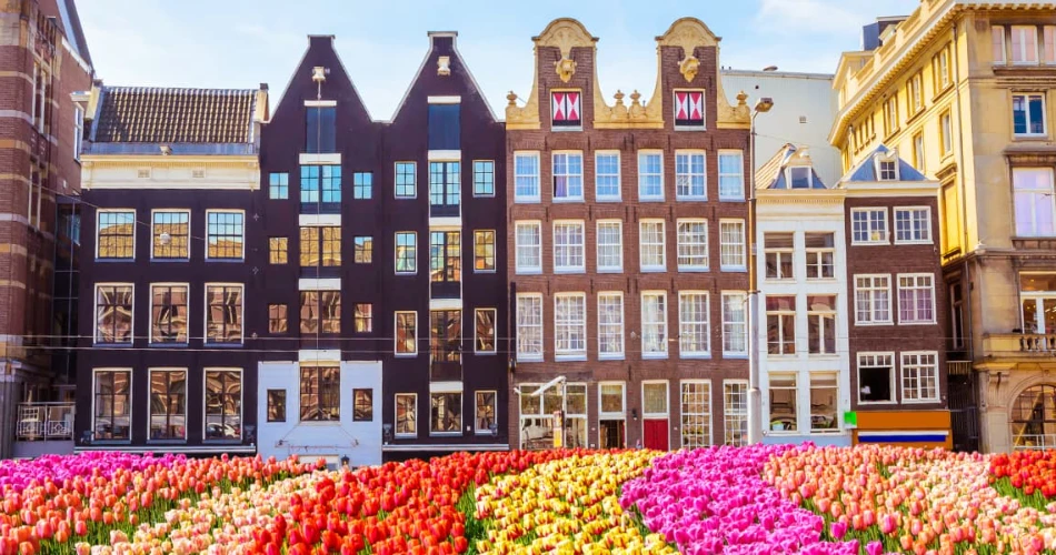 Amsterdam Travel Guide: Canals, Museums, Food & Nightlife Highlights