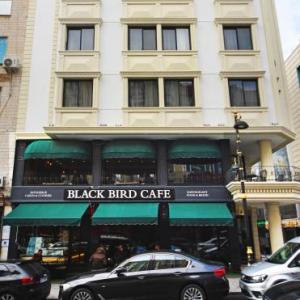 Black Bird Hotel
